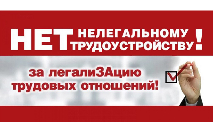Легализация трудовых отношений – путь к социальной стабильности!.