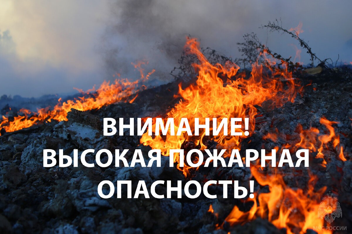 Оперативное предупреждение.