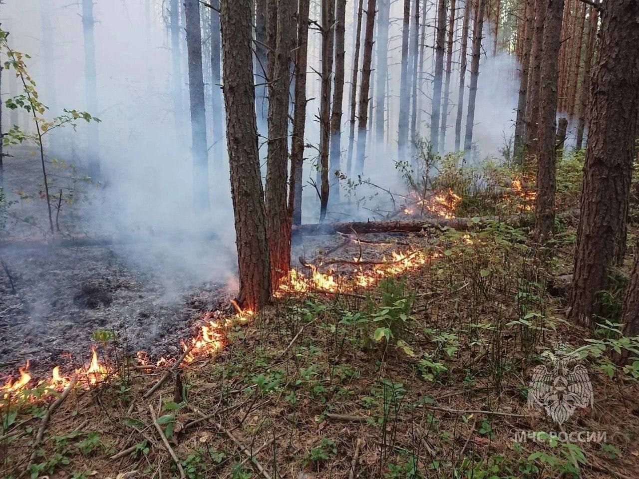 Фото МЧС России.