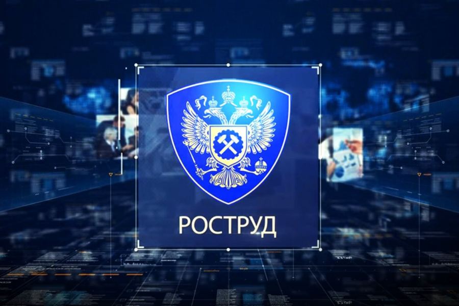 В реестре недобросовестных работодателей появились первые записи.