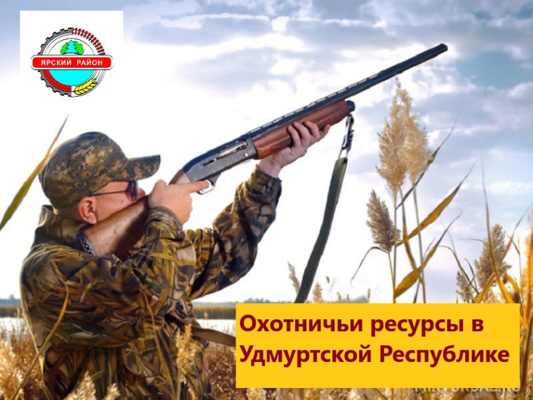 Уведомление о проведении общественных обсуждений проекта нормативно-технической документации. Уведомление о проведении общественных обсуждений проекта нормативно-технической документации.