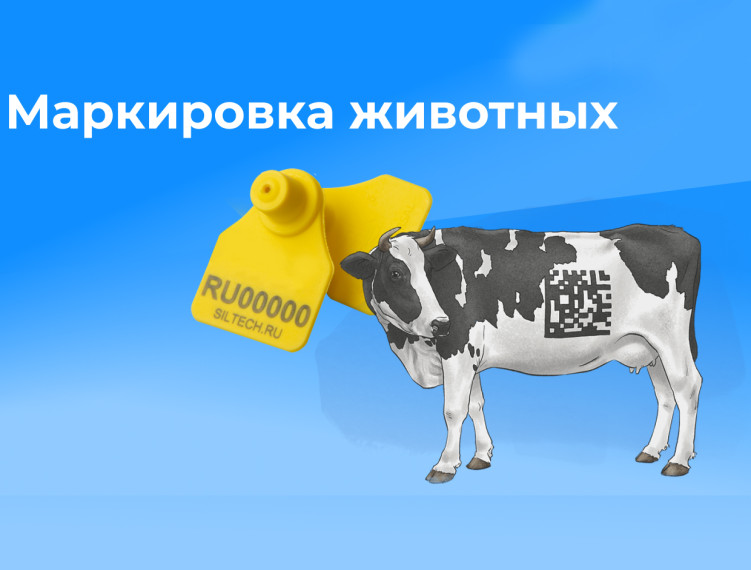 Маркирование животных. Маркирование животных.