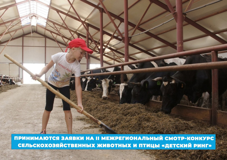 Правительство Удмуртской Республики приглашает принять участие во II Межрегиональном смотре-конкурсе сельскохозяйственных животных и птицы «Детский ринг». Правительство Удмуртской Республики приглашает принять участие во II Межрегиональном смотре-конкурсе сельскохозяйственных животных и птицы «Детский ринг».